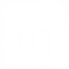 LinkedIn Icon